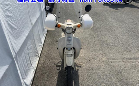 OTHER  LITTLE CUB -FI