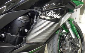 KAWASAKI NINJA 1000SX 2024 ZXT02K