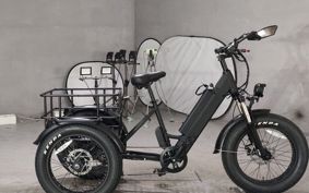 OTHER ENTRE CARGO ..