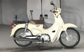 HONDA SUPER CUB50 AA09
