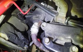 HONDA ZOOMER 2024 AF58