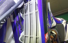 YAMAHA WR250F CG11W