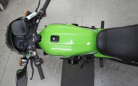 KAWASAKI Z1100 GP 2026 KZT10B