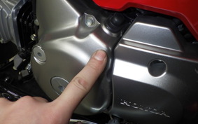 HONDA CT125 HUNTER CUB 2021 JA55