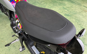 DUCATI SCRAMBLER ICON 2024 7K00