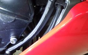 KAWASAKI NINJA 1000SX 2024 ZXT02K