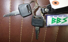 OTHER +UNREGISTERED MODEL by BDS250 1992