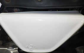 HONDA MONKEY 2024 Z50J