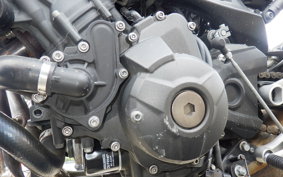 YAMAHA MT-09 2014 RN34J