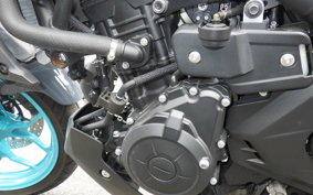 YAMAHA MT-25 A RG74J