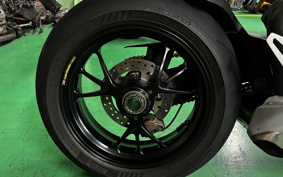 DUCATI PANIGA-REV4R 2019 DA04