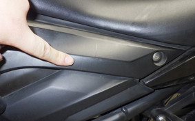 YAMAHA MT-25 2006 RG10J