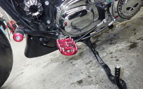 HARLEY XL1200XS 2020