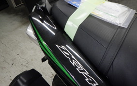 KAWASAKI ZX 1400 NINJA R A 2019