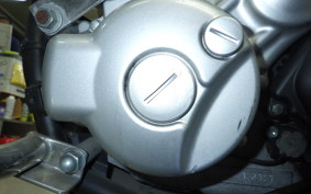 YAMAHA WR250X 2025 DG15J