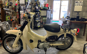 HONDA LITTLE CUB C50
