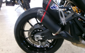 DUCATI MONSTAR 937SP 2024 4M00