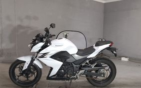 KAWASAKI Z250 ER250C