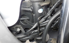 KAWASAKI NINJA 250 EX250L