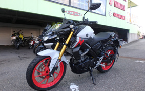 YAMAHA MT-15 RG68