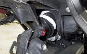 BMW R12 2024