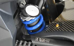 TRIUMPH STREET TRIPLE R 2010 TMD416