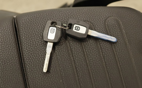 OTHER Svartpilen401 2019