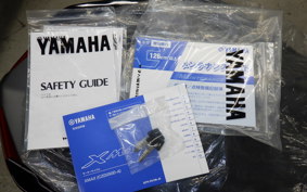 YAMAHA X-MAX 250 2019 SGA8J