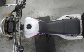 YAMAHA TT250R RAID 4GY