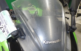KAWASAKI NINJA 250 ABS EX250L