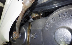 HONDA DJ-1 1996 AF12