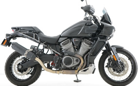 HARLEY HARLEY  PAN  AMERICA 1250 SPECIAL 2021 ZES