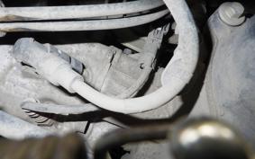 HONDA TACT Basket 2024 AF79