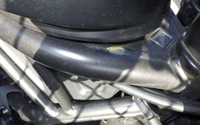 HONDA REBEL 250 S MC49