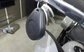 HARLEY FXLRST1920 2026