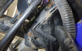 HONDA APE 50 2025 AC16