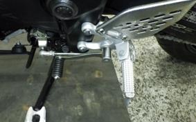 YAMAHA MT-25 A RG74J