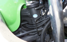 KAWASAKI NINJA 250 EX250L