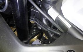 YAMAHA YZF-R3 2025 RH25J