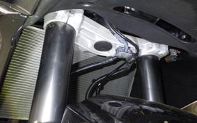 KAWASAKI NINJA 1000 A 2019 ZXT00W