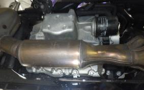 KAWASAKI NINJA 1000SX 2024 ZXT02K
