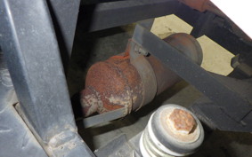 OTHER +UNREGISTERED MODEL by BDS TRIKE125