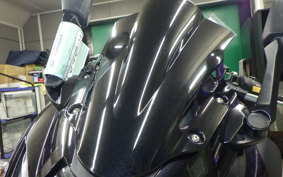 SUZUKI GSX250RA 2021