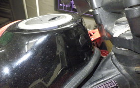 HONDA CRF250 RALLY 2025 MD44