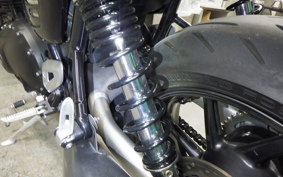 TRIUMPH SPEED TWIN 2019