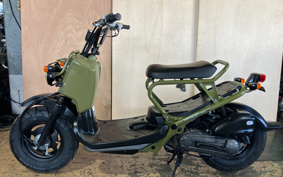 HONDA ZUMAR AF58