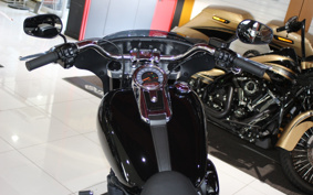 HARLEY FLSB 2022 YMJ