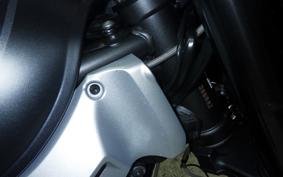 KAWASAKI Z900RS CAFE 2019 ZR900C