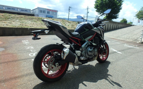 KAWASAKI Z900 2019 ZR900B