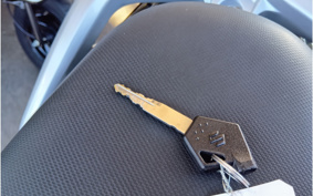 SUZUKI ADDRESS V110 CE47A